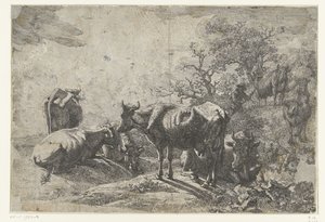 The Cattle Herder