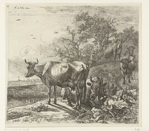 The Herdsman