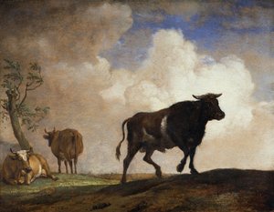 The Bull by Paulus Potter