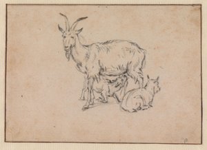 A Goat with Two Kids by Paulus Potter