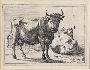 A Standing and a Lying Cow by Paulus Potter