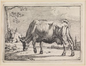 Grazing Cow by Paulus Potter