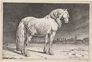 The Frisian Horse by Paulus Potter