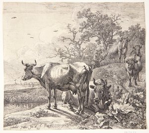 Kohyrden by Paulus Potter