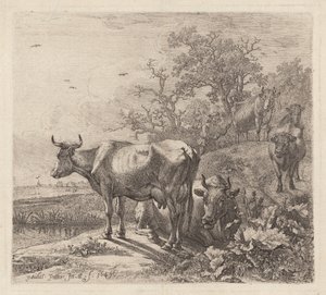 The Cowherd