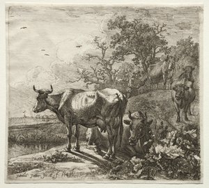 The Cowherd