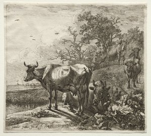 The Cowherd