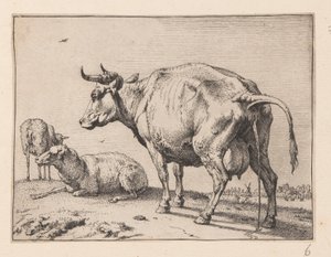 The Pissing Cow, from Various Oxen and Cows