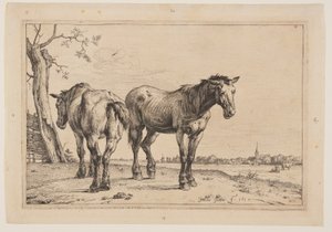 The Plough Horse, from Series of Horses by Paulus Potter