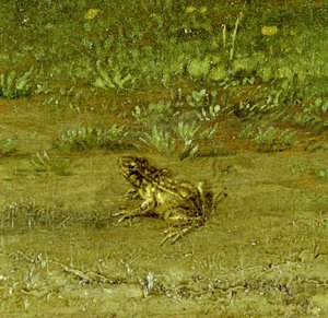 Toad, detail of A Fellow Countryman with his Herd by Paulus Potter