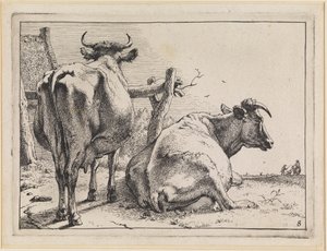 Two Cows Seen from Behind by Paulus Potter