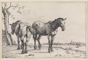 Two Plough Horses by Paulus Potter