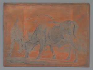 Two Fighting Oxen by Paulus Potter