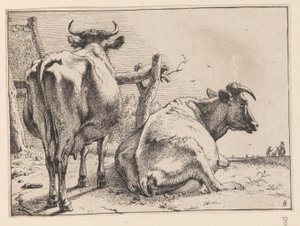 Two Cows Seen from Behind, from Various Oxen and Cows