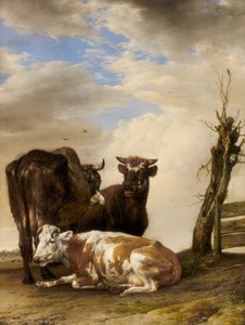Two Cows and a Young Bull Beside a Fence in a Meadow by Paulus Potter