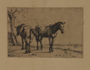 Two Horses by Paulus Potter