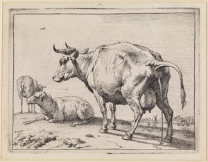 Urinating Cow by Paulus Potter