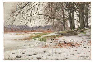Snowy Landscape