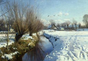 Sunny Winter Day by the Stream