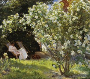 Roses. Marie Krøyer Seated in the Deckchair in the Garden by Mrs Bendsen
