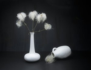White on Black by Pedro Uranga