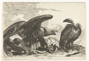 Vulture and an Eagle with a Snake (Birds from the Menagerie of Versailles) by Peeter Boel (attributed to)