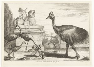 Cassowaries, Purple Gallinule, and Flamingos (Birds from the Menagerie of Versailles) by Peeter Boel (attributed to)