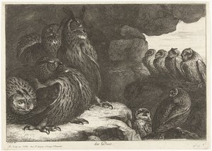 Owls in a Cave by Peeter Boel (attributed to)