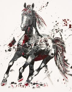Arena by Penny Warden
