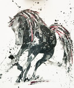 Capriccio by Penny Warden