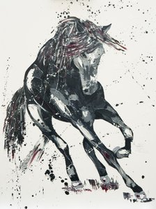 Significance by Penny Warden