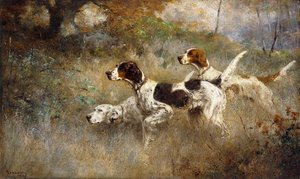 The Setters Three, Bob, Bill and Ginger on a triple point