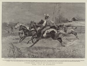 Bush Life in Australia by Percy F.S. Spence