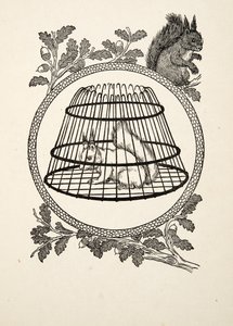 A Refugee Squirrel, from A Hundred Anecdotes of Animals, pub. 1924 by Percy J. Billingshurst