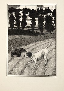 Deceiving the Fowler, from A Hundred Anecdotes of Animals, pub. 1924 by Percy J. Billingshurst