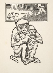 Soliciting Succour, from A Hundred Anecdotes of Animals, pub. 1924 by Percy J. Billingshurst