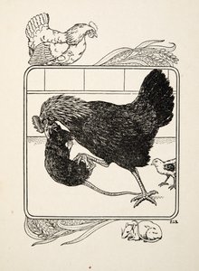 The Heroism of a Hen