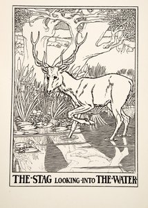 The Stag looking into the Water, from A Hundred Fables of Aesop, published 1903 by Percy J. Billingshurst