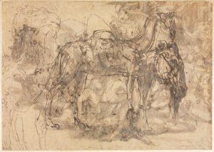Sketches of Animals verso