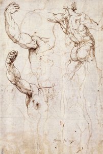 The Back of a Nude and Two Studies of a Raised Arm and Shoulder, Seen from the Front