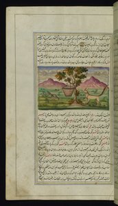 A Fox and a Drum from Lights of Canopus by Persian School
