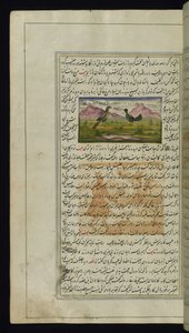 A Hawk and a Hen from Lights of Canopus by Persian School
