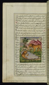 An Evil Lion, Tricked by a Hare, Looks into a Well and Sees His Reflection from Lights of Canopus by Persian School
