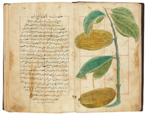 Hassan Bin Baqir Bin Jarrah: Gulzar Al-Rayahin, Qajar Iran by Persian School