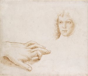 Studies of a Head and a Hand by Perugino