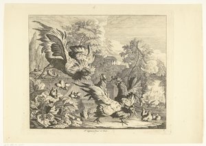 Cockfight