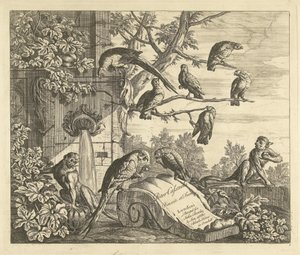 Parrots and Monkeys by a Garden Fountain, Various Birds (series title)