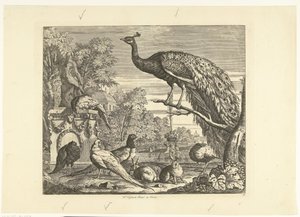 Peacock, Rabbits, and Other Birds by a Garden Fountain (Verschillende vogels)