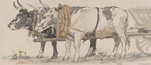 Two Oxen Pulling a Cart