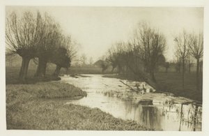 A Backwater on the Lea